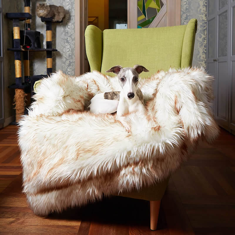 Dog Bed