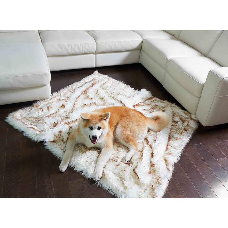 Dog Bed