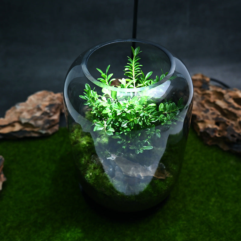 Desktop Creativity Micro-landscape