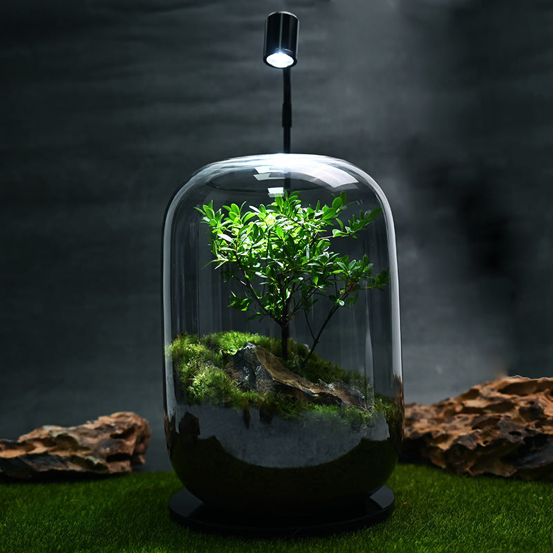Desktop Creativity Micro-landscape