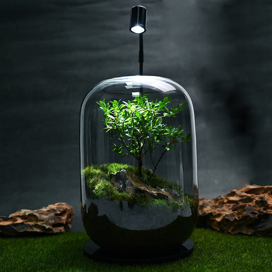Desktop Creativity Micro-landscape