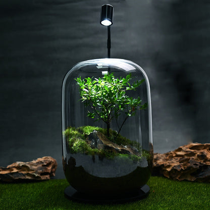 Desktop Creativity Micro-landscape