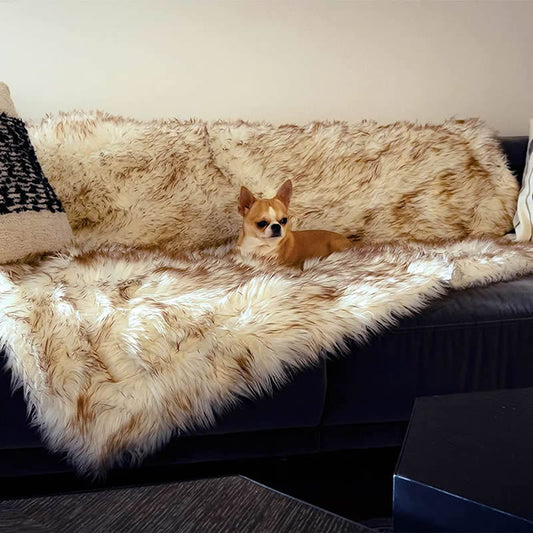Dog Bed