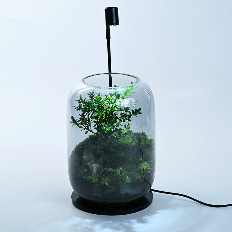 Desktop Creativity Micro-landscape