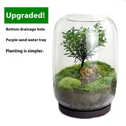 Desktop Creativity Micro-landscape