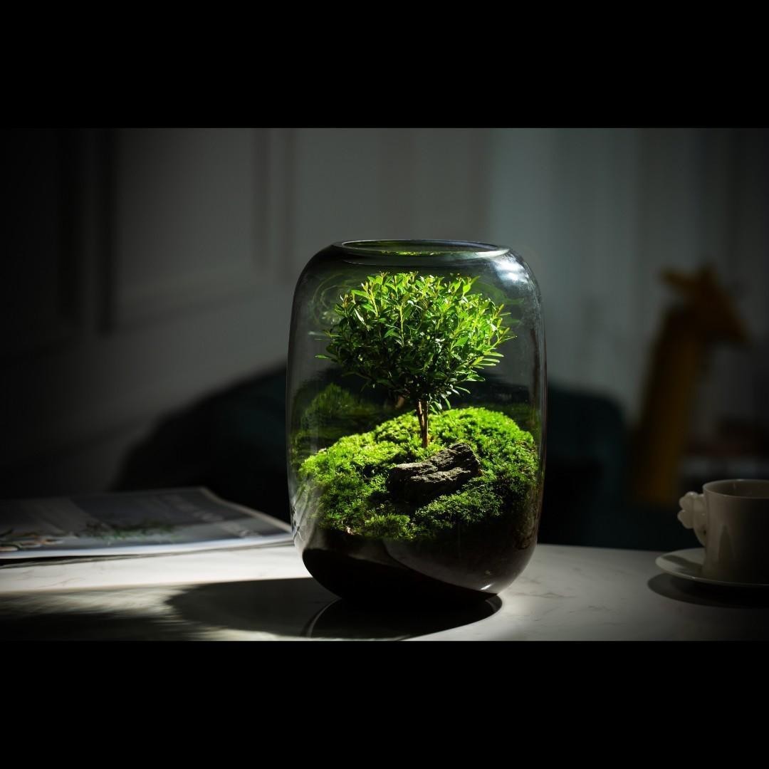 Desktop Creativity Micro-landscape