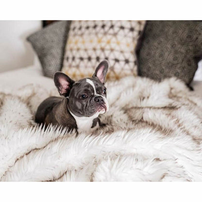 Dog Bed