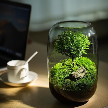 Desktop Creativity Micro-landscape